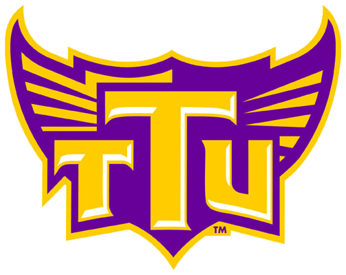 Tennessee Tech Golden Eagles 2006-Pres Alternate Logo v8 DIY iron on transfer (heat transfer)